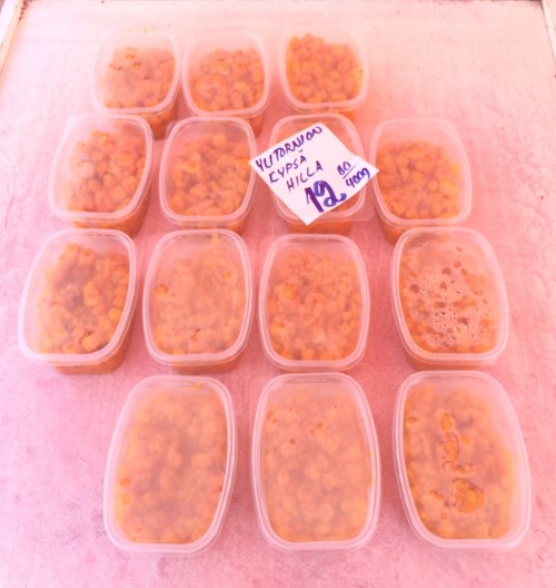 Rare fresh cloudberries