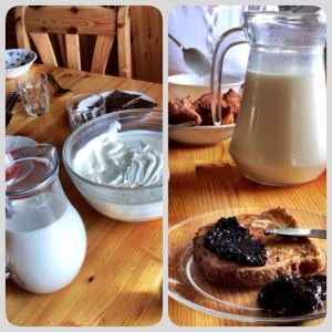 Delicios skyr and homemade jam on toast in Iceland