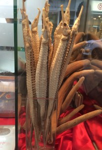 Dried seahorse at Wanchai market in Hong Kong