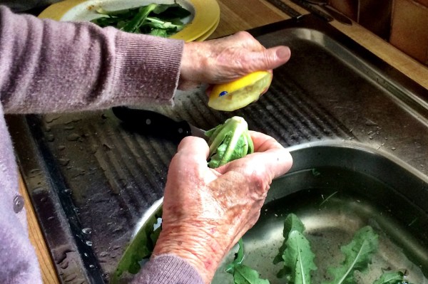 Picking and cooking Greek horta with yiayia