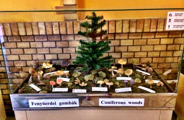 Great Market Hall - Budapest 