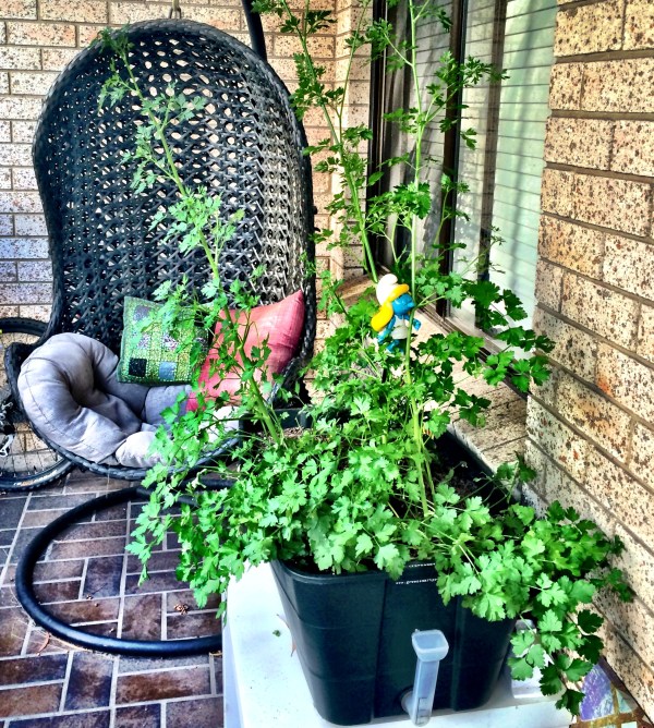 the fidgety foodie_new year resolution (12)