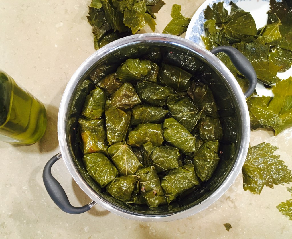thefidgetyfoodie_dolmades (7)