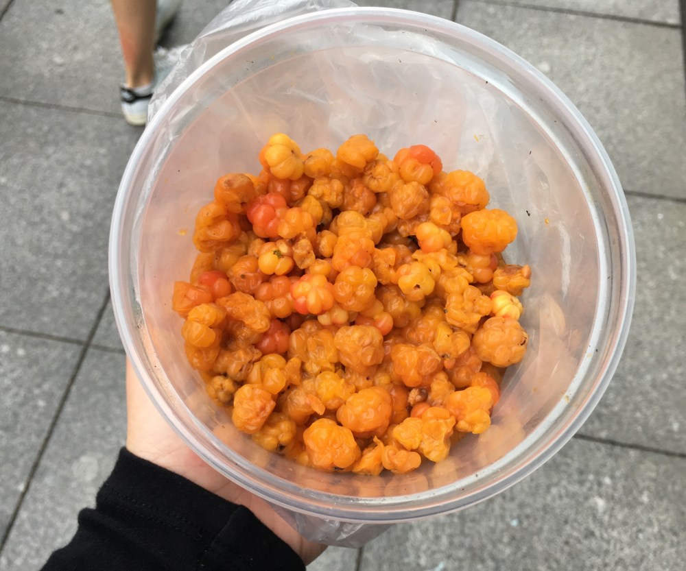 the fidgety foodie_ 9 more reasons to love cloudberries(22)
