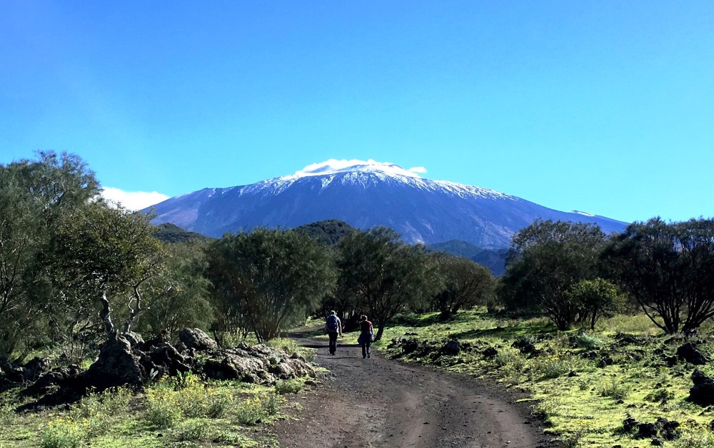 the fidgety foodie_pistachio festival in Bronte Sicily
