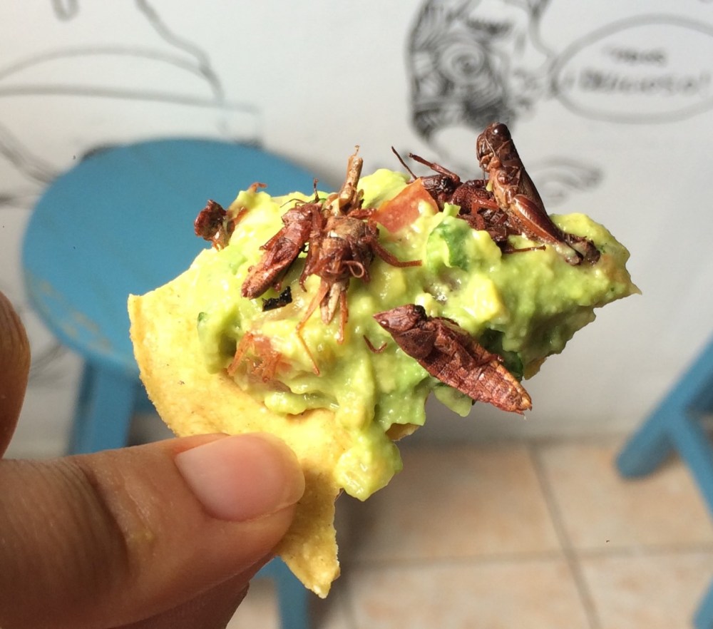 Why I heart Oaxaca – Mexico’s gastronomic heart_the fidgety foodie