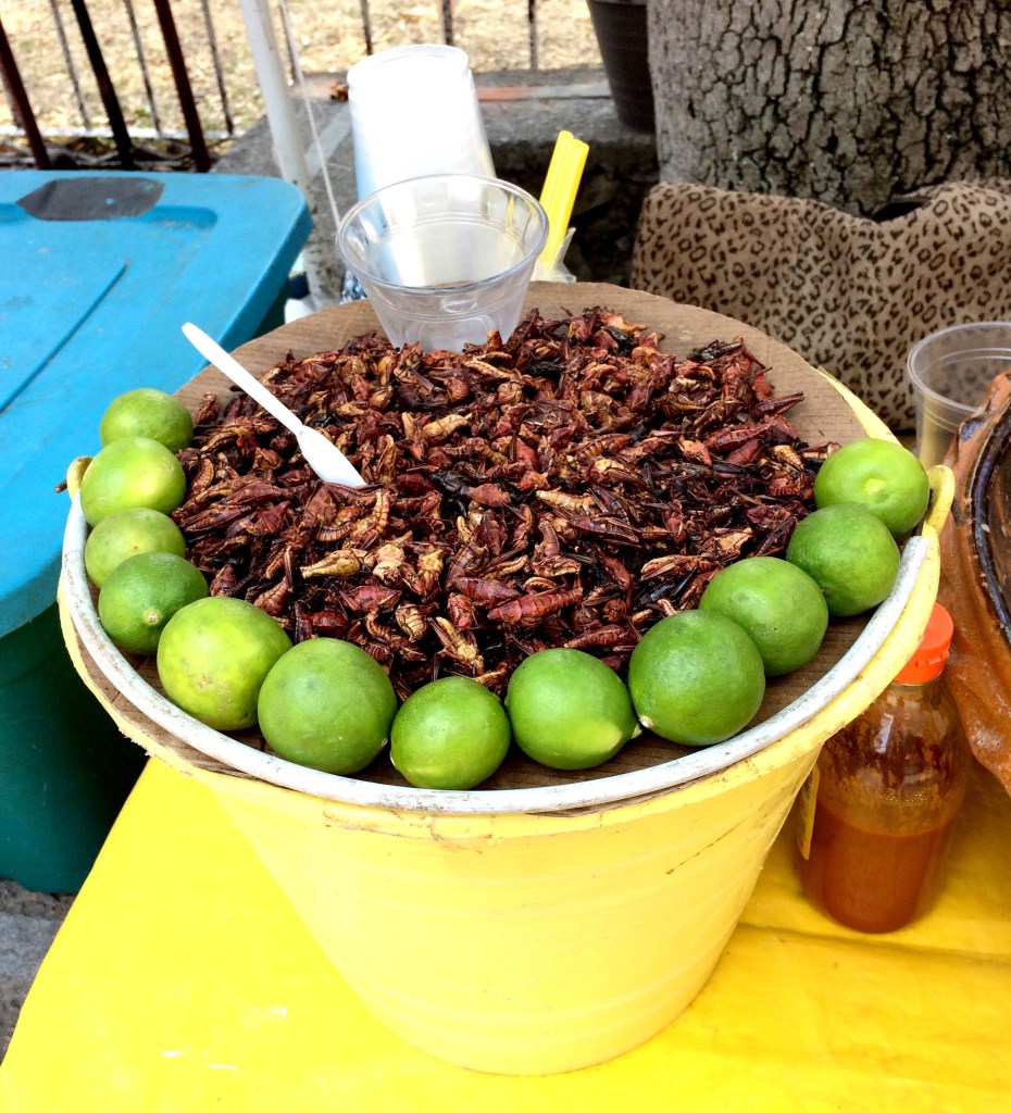 Why I heart Oaxaca – Mexico’s gastronomic heart_the fidgety foodie