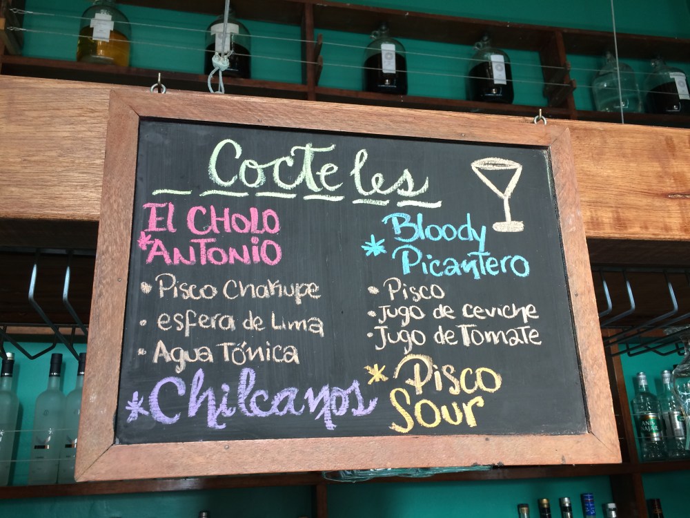 My passion for pisco_the fidgety foodie