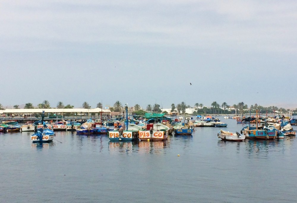 My passion for pisco_the fidgety foodie