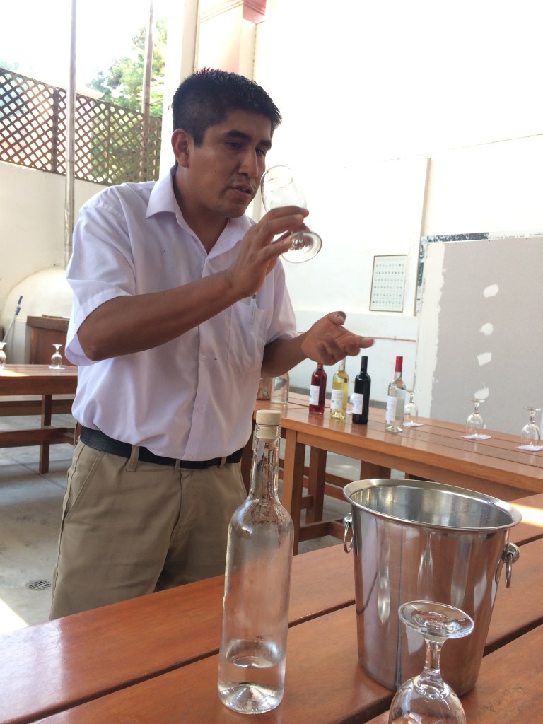 My passion for pisco_the fidgety foodie